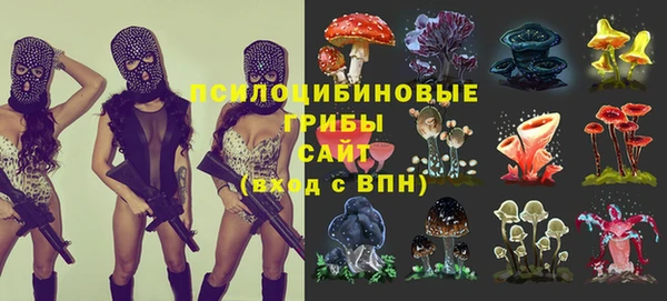 хмурый Богородицк
