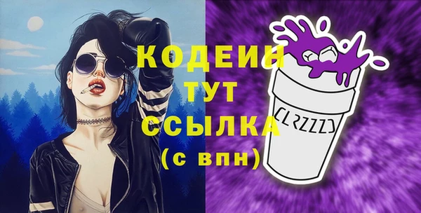 хмурый Богородицк