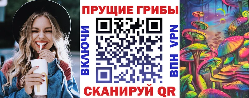 Псилоцибиновые грибы Psilocybine cubensis Тетюши