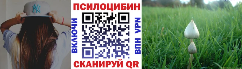 Псилоцибиновые грибы ЛСД  Тетюши 